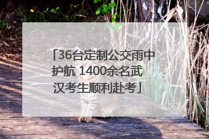 36台定制公交雨中护航 1400余名武汉考生顺利赴考
