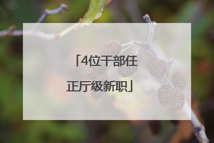 4位干部任正厅级新职
