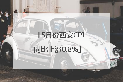 5月份西安CPI同比上涨0.8%