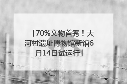 70%文物首秀！大河村遗址博物馆新馆6月14日试运行