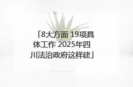 8大方面 19项具体工作 2025年四川法治政府这样建