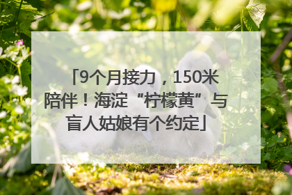 9个月接力，150米陪伴！海淀“柠檬黄”与盲人姑娘有个约定