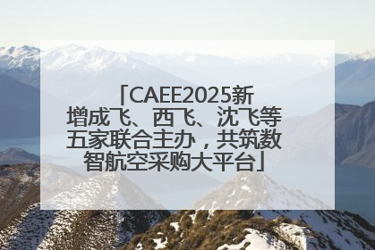 CAEE2025新增成飞、西飞、沈飞等五家联合主办，共筑数智航空采购大平台