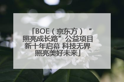 BOE（京东方）“照亮成长路”公益项目新十年启幕 科技无界照亮美好未来