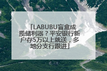 LABUBU盲盒成揽储利器？平安银行新户存5万以上就送，多地分支行跟进