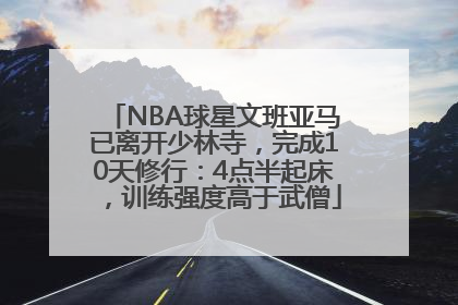 NBA球星文班亚马已离开少林寺，完成10天修行：4点半起床，训练强度高于武僧