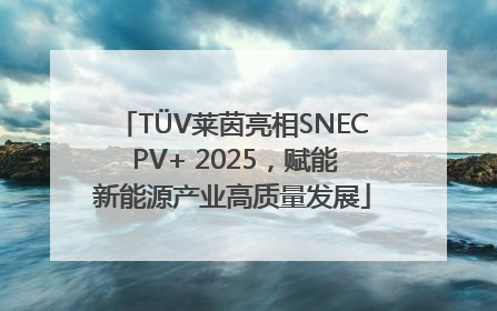 TÜV莱茵亮相SNEC PV+ 2025，赋能新能源产业高质量发展