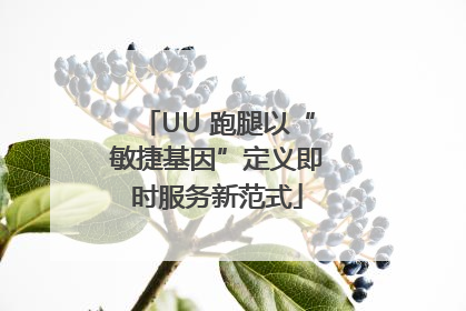 UU 跑腿以“敏捷基因”定义即时服务新范式